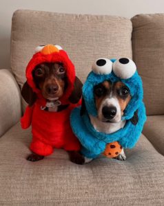 Calvin and Maya dressed up for Halloween 2024.